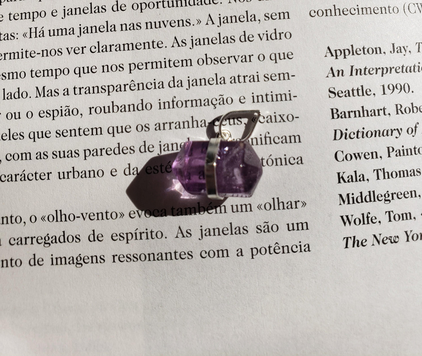 Pingente Cristalle Ametista e Prata usekahla.com