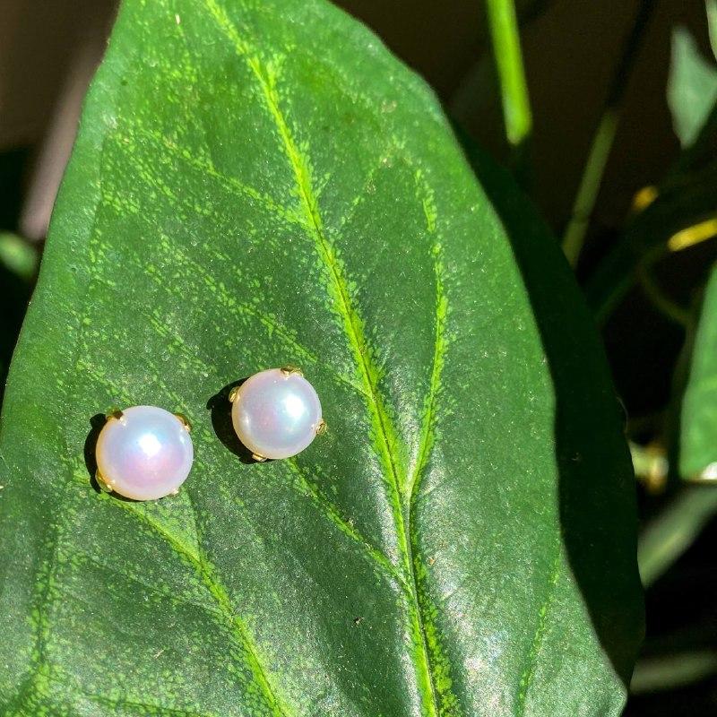 Brinco Pérola Pérola e Ouro 18k usekahla.com